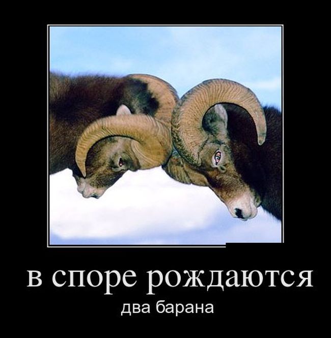 Демотиваторы, новые картинки с фразами.