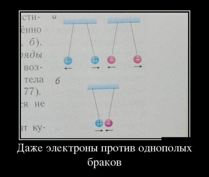 Демотиваторы лучшие по итогам.