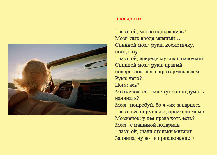 Классификация разных групп водителей в картинках.