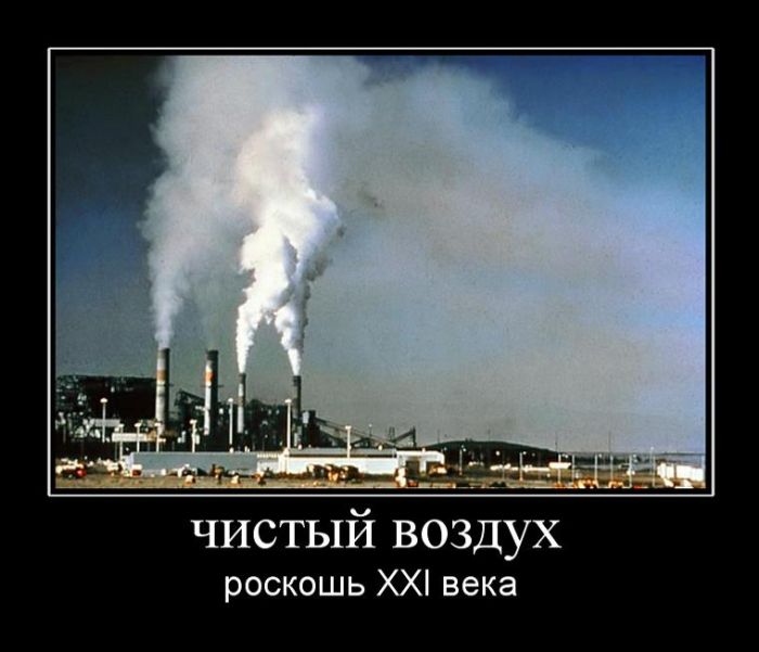 Демотиваторы не лихорадит.