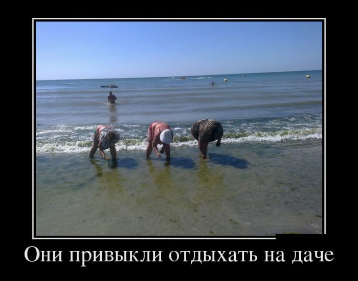 Классная подборка новых демотиваторов.