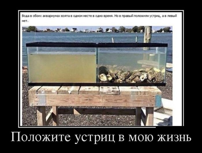 Демотиваторы с юмором.