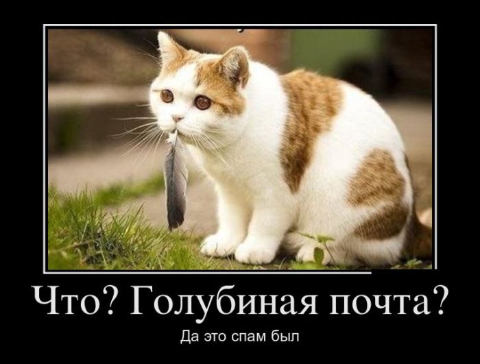 Демотиваторы прикольные, давно не было :)