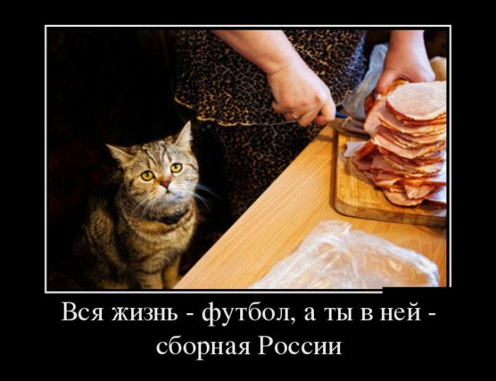 Демотиваторы приколы - залог отличного настроения!