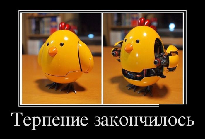 Демотиваторы новые и прикольные.