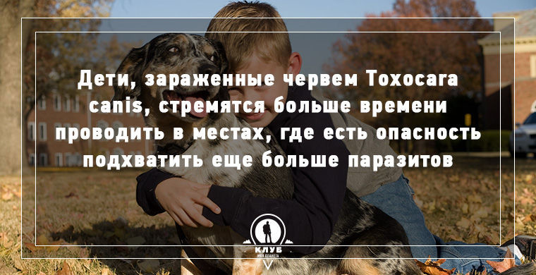 Интересное о зомби в нашем мире.
