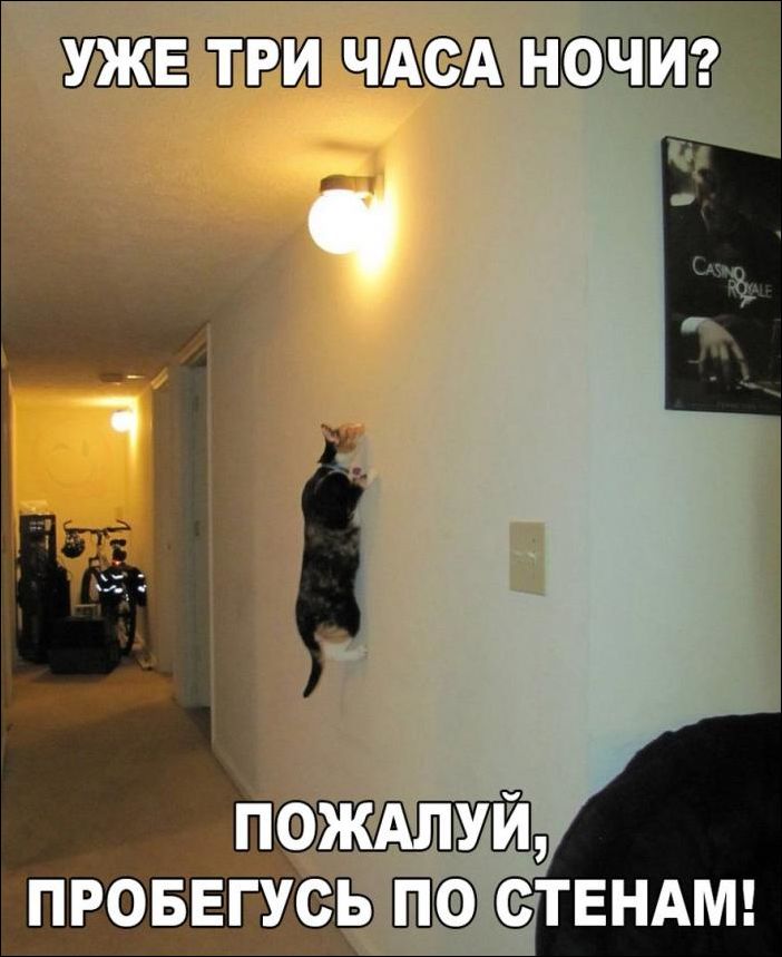 За фото приколы и здоровый образ жизни!