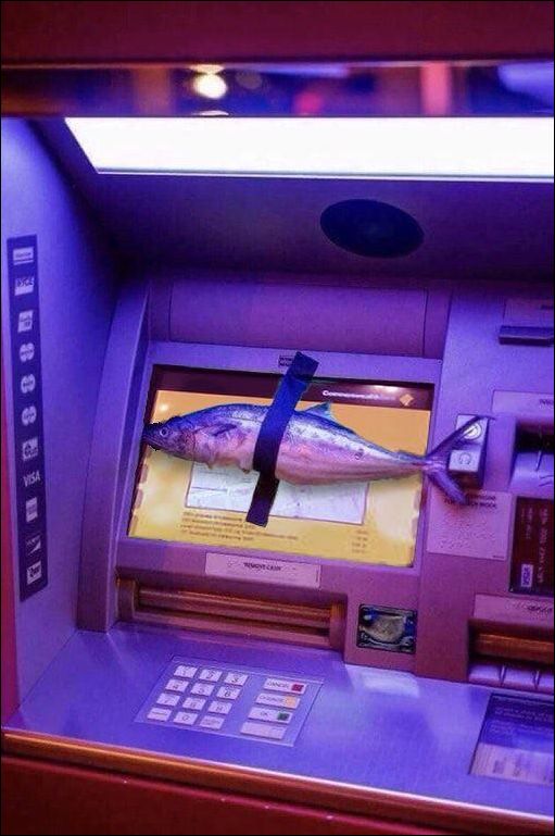 Прикольные картинки смотрим.