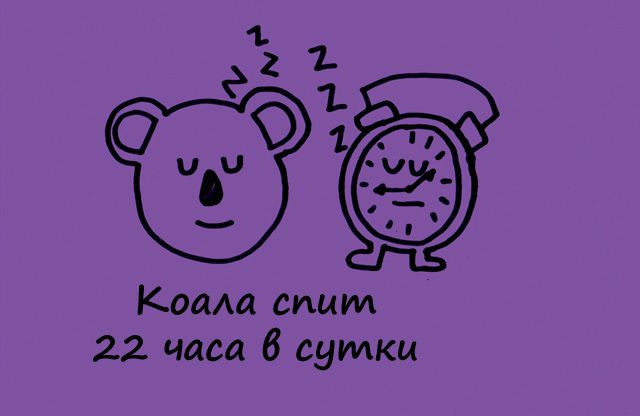 Интересные Факты.