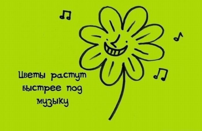 Интересные Факты, тема продолжается.