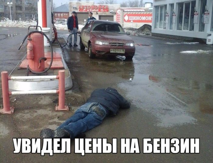 Фото приколы и просто картинки, юмор