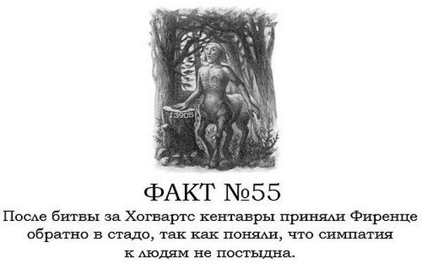 Интересные факты о Гарри Поттере.