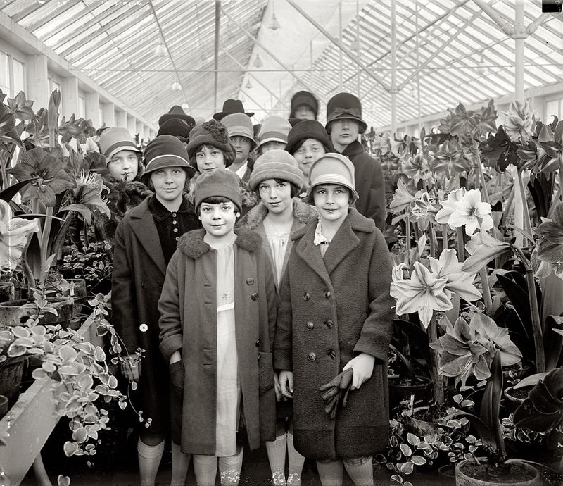 Американские дети, фотографии 1900-1920 годов.