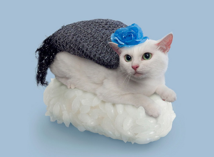 Котосуши