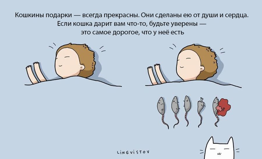 Преимущество в том, что бы завести себе кошку