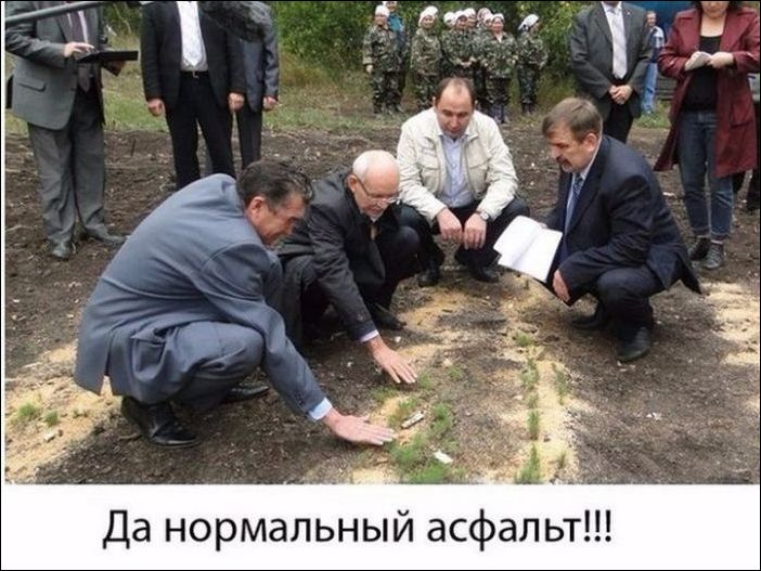 Подборка с фото приколами