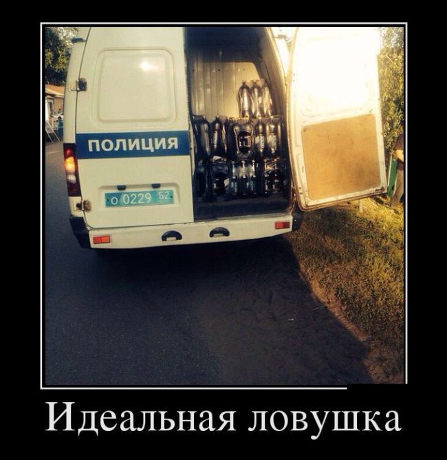 Прикольные демотиваторы и все у нас будет.