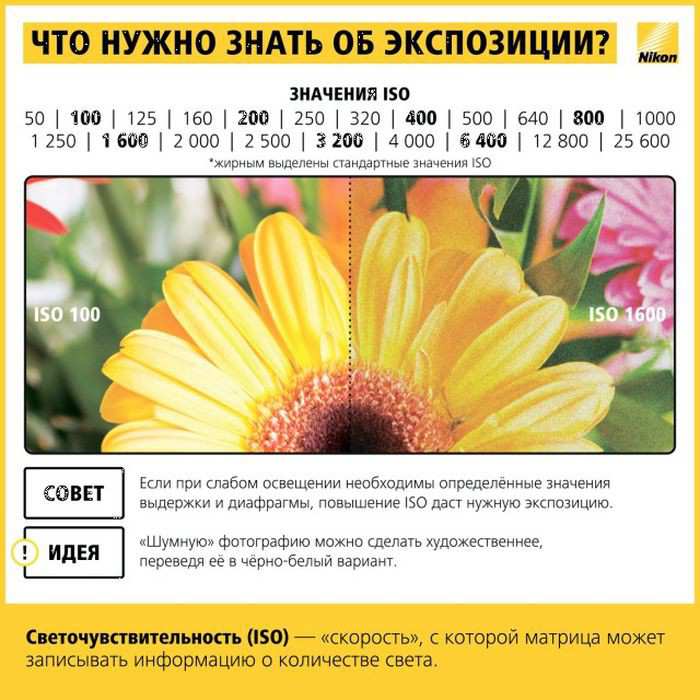 Как выставить правильный режим на фотоаппарате