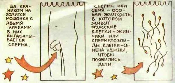 Откуда берутся дети? Китайская детская книжка
