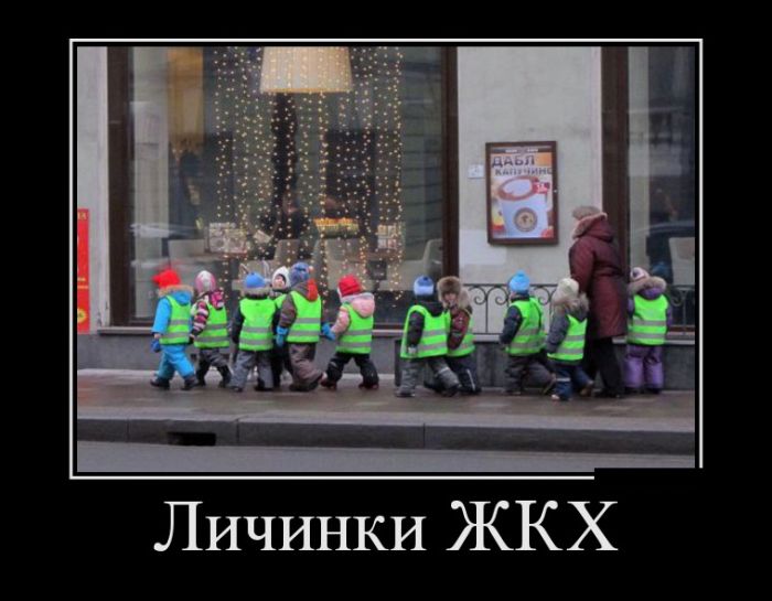Демы прикольные на день.