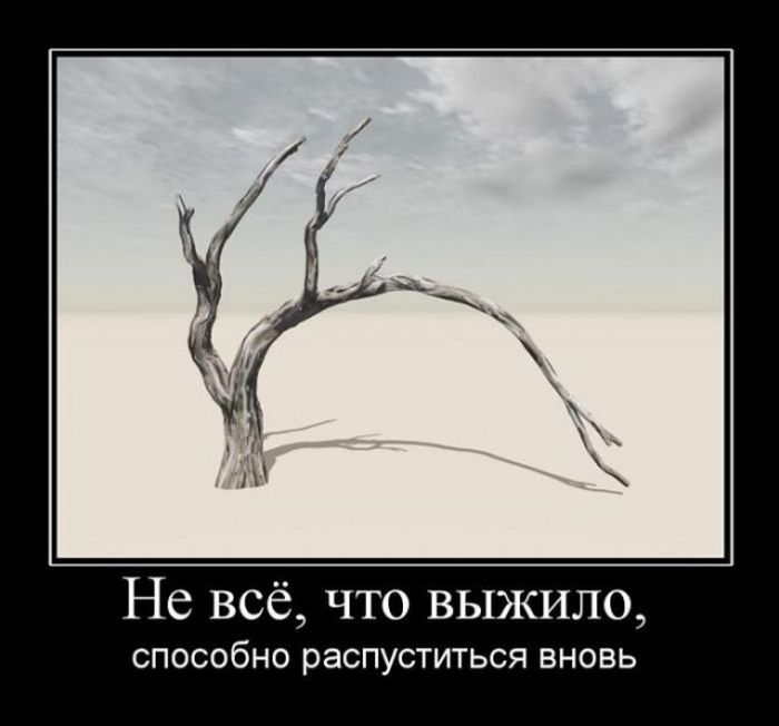 Демотиваторы с прикольным смыслом.