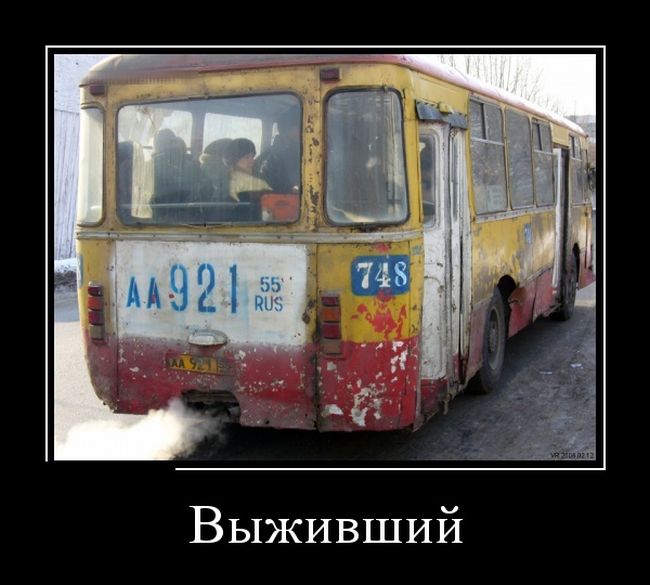 Демотиваторы смешные про девушек, и другие с юмором.