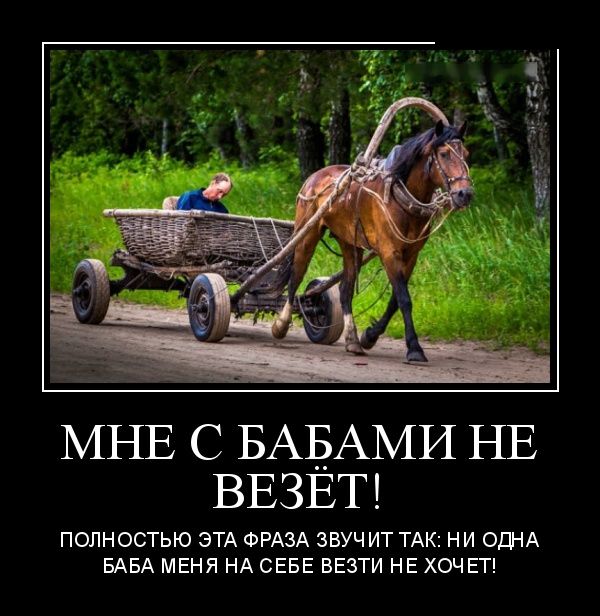 Демотиваторы прикольные, позитив дня.