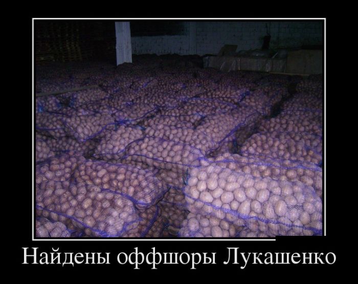За день накопилось так много прикольных демотиваторов.