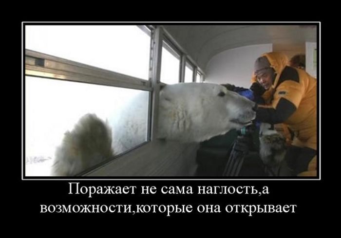 Прикольные демотиваторы и самые новые.