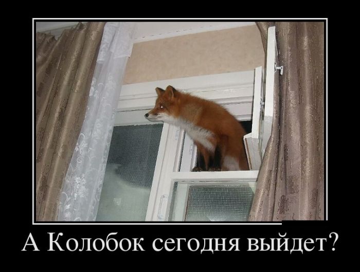 Демотиваторы новые на Ёжине.