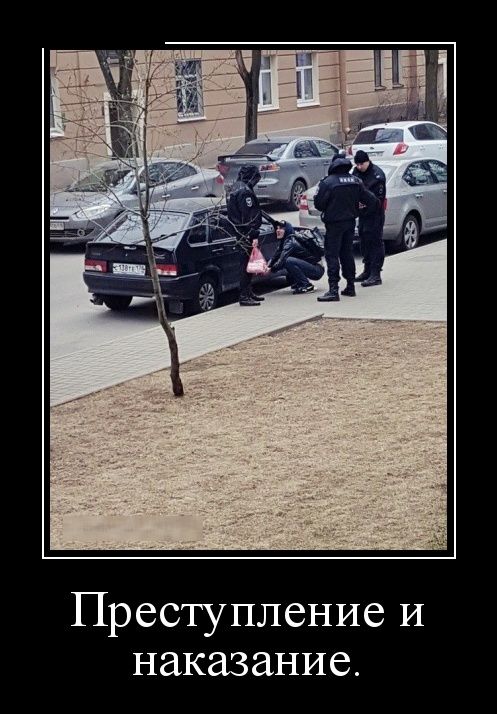 Картинки прикольные и фразы в подборке демотиваторов.