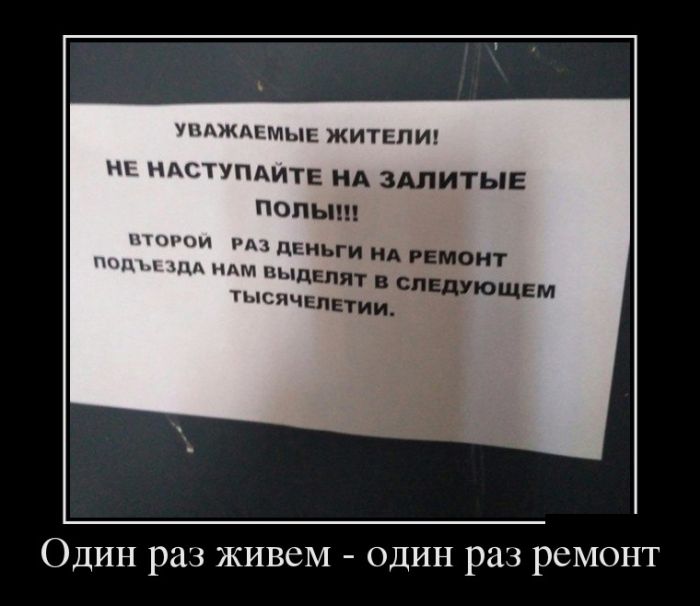 Демотиваторы поднимут любое настроение.