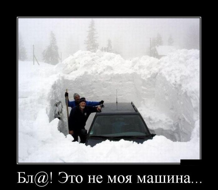 Демотиваторы, прикольные фотки и новые фразы.