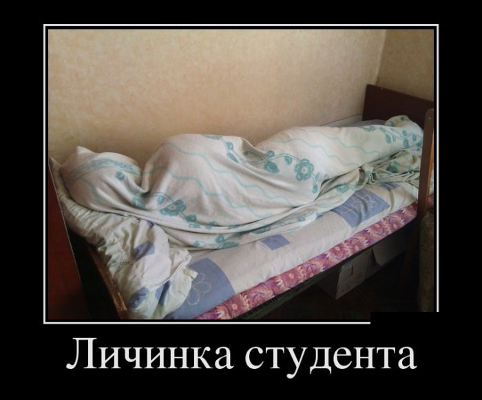 Демотиваторы прикольные про все.