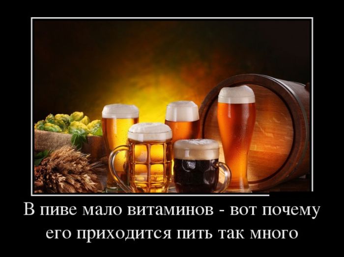 Демотиваторы прикольные и точно не последние.