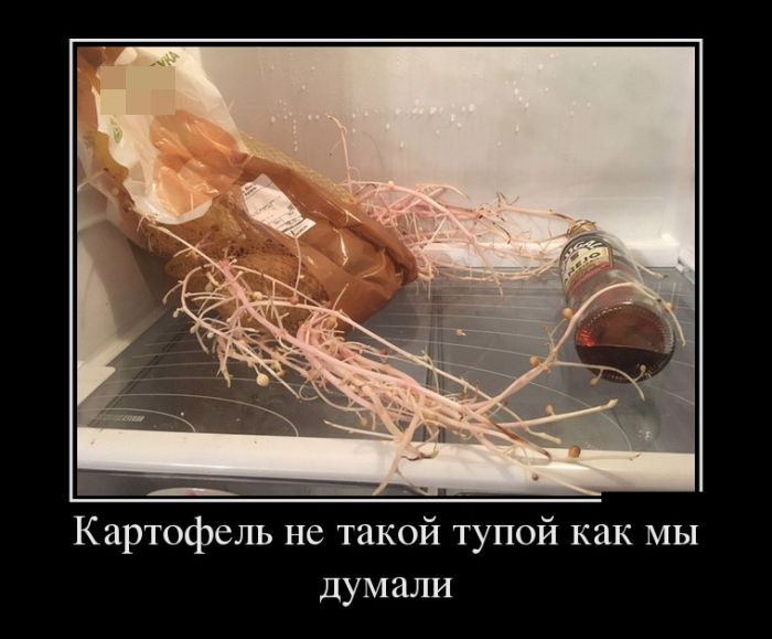 Свежие демотиваторы на Ёжин.ру