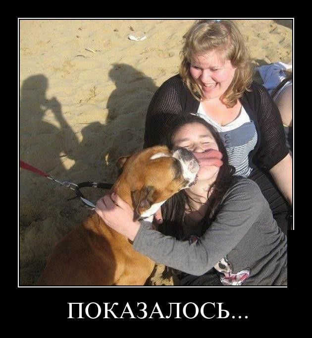 Демотиваторы веселенькие, для поднятия.