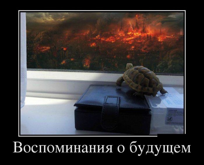 Демотиваторы со смыслом!