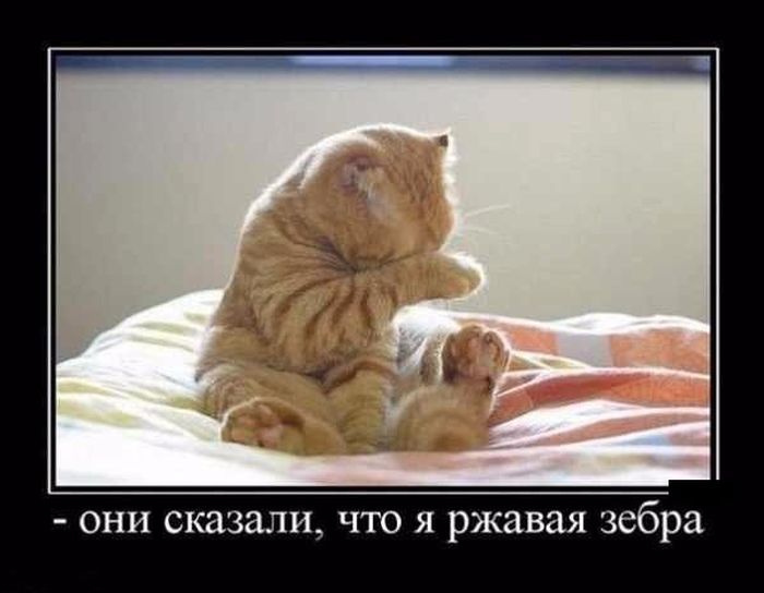 Классная подборка новых демотиваторов.