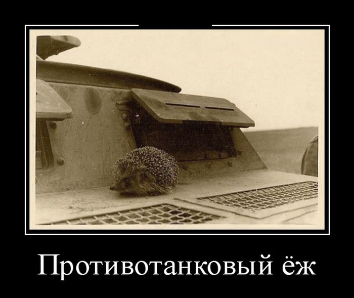 Демотиваторы с юмором, будет прикольно.