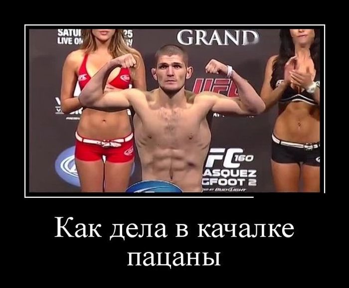 Прикольные демотиваторы фото.