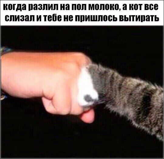 Только фото приколы, только позитив во всем!
