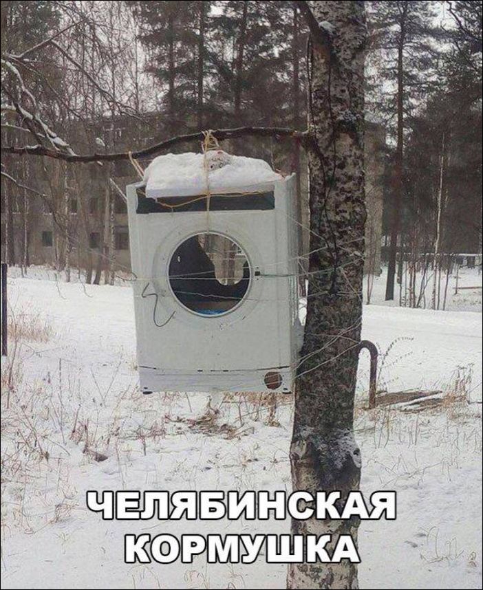 За фото приколы и здоровый образ жизни!
