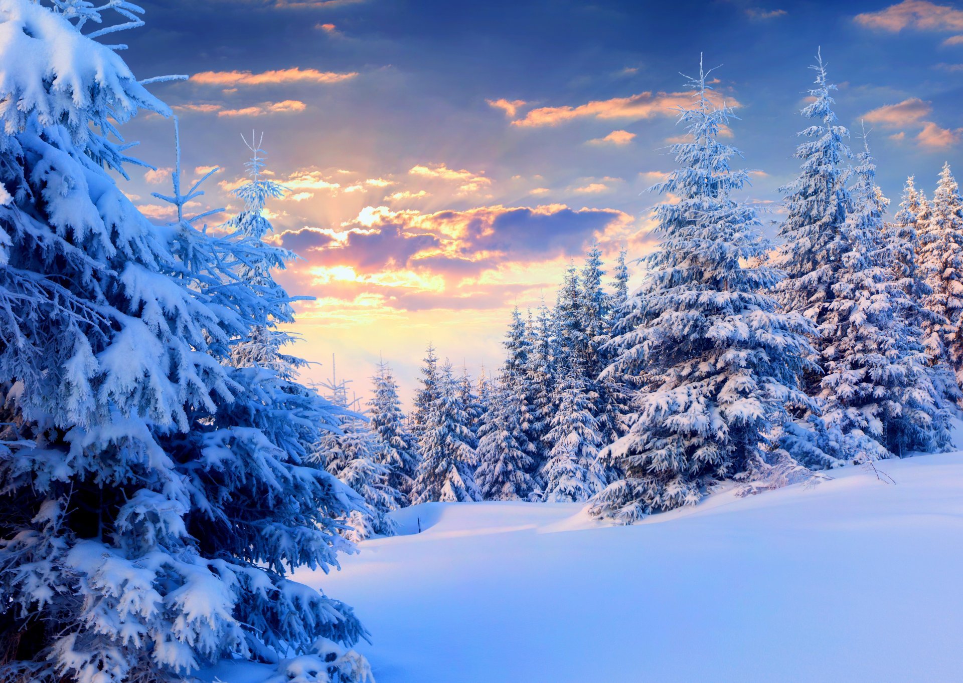 Картинки про зиму