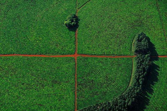 Мастер ви Yann Arthus-Bertrand