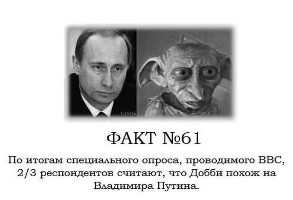 Интересные факты о Гарри Поттере.