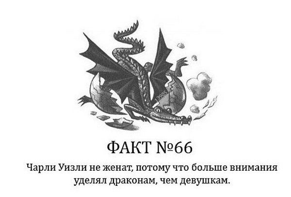 Интересные факты о Гарри Поттере.