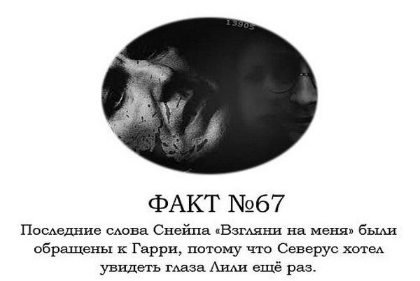 Интересные факты о Гарри Поттере.