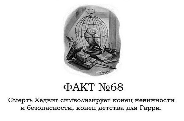 Интересные факты о Гарри Поттере.
