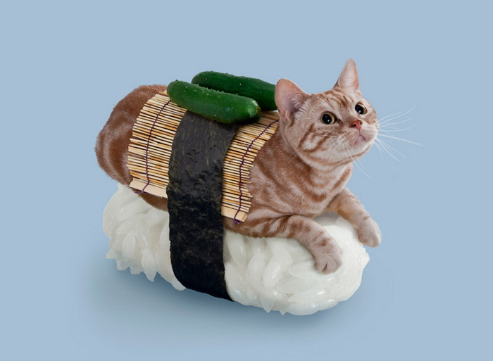 Котосуши